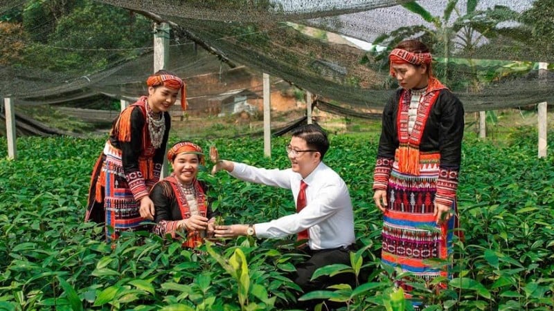 Agribank - den økonomiske søylen i vietnamesisk landbruk.