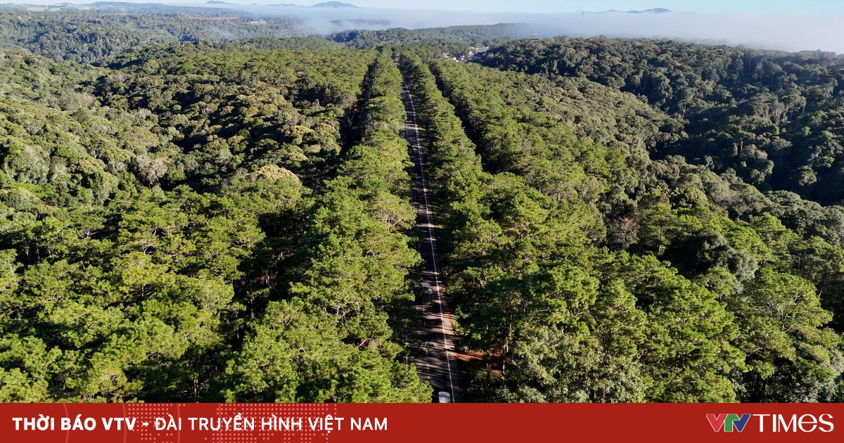 Mở lối cho “Thiên đường xanh” ở Măng Đen