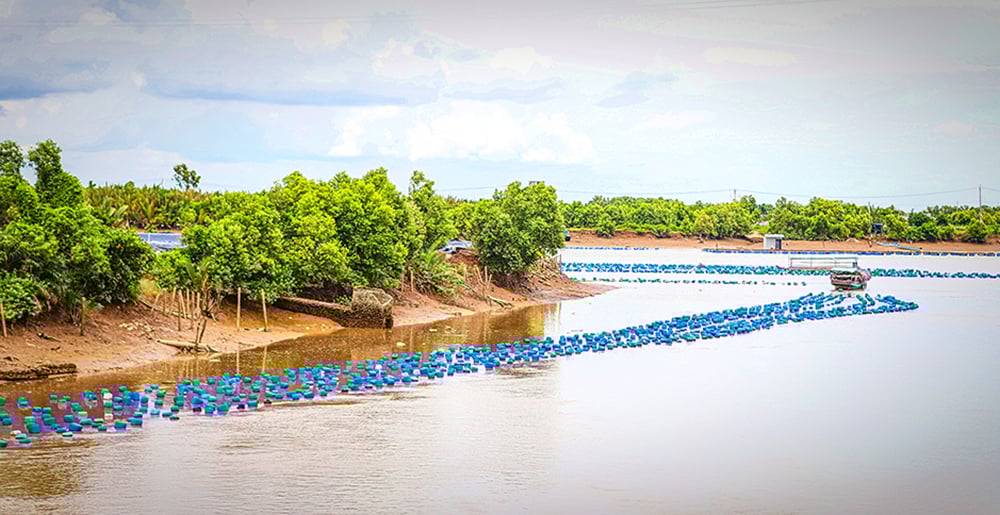 Nos primeiros 9 meses de 2025, o crédito agrícola, florestal e pesqueiro representou 25,4% da região do Delta do Mekong.