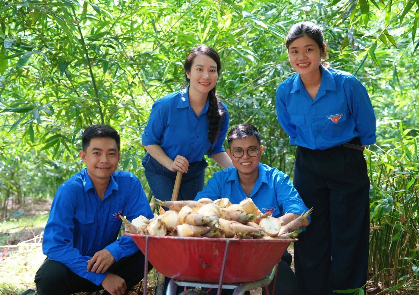 Khởi nghiệp xanh bằng 'vua của các loài măng'