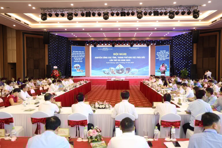 toan-canh-hoi-nghi-1.jpg