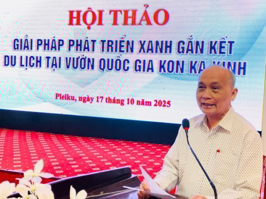 nguyen-danh.jpg