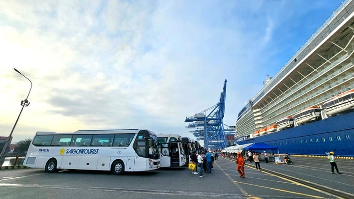 Ho Chi Minh şehrini ziyaret etmek için uluslararası turist taşıyan kruvaziyer gemilerinin sayısı son zamanlarda artış eğilimi gösteriyor. (Fotoğraf: Saigontourist)