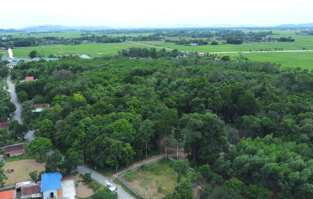 DJI_0607.JPG