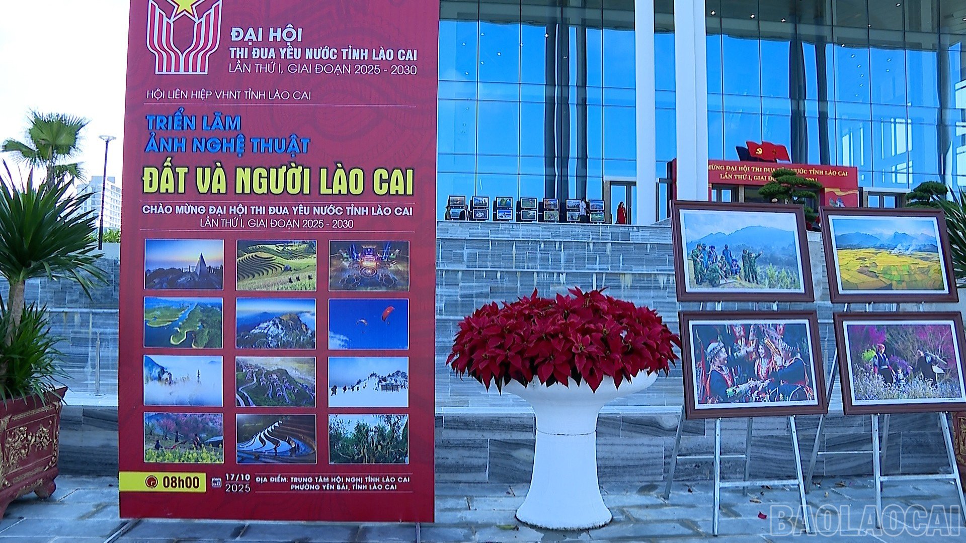 baolaocai-br_99.jpg