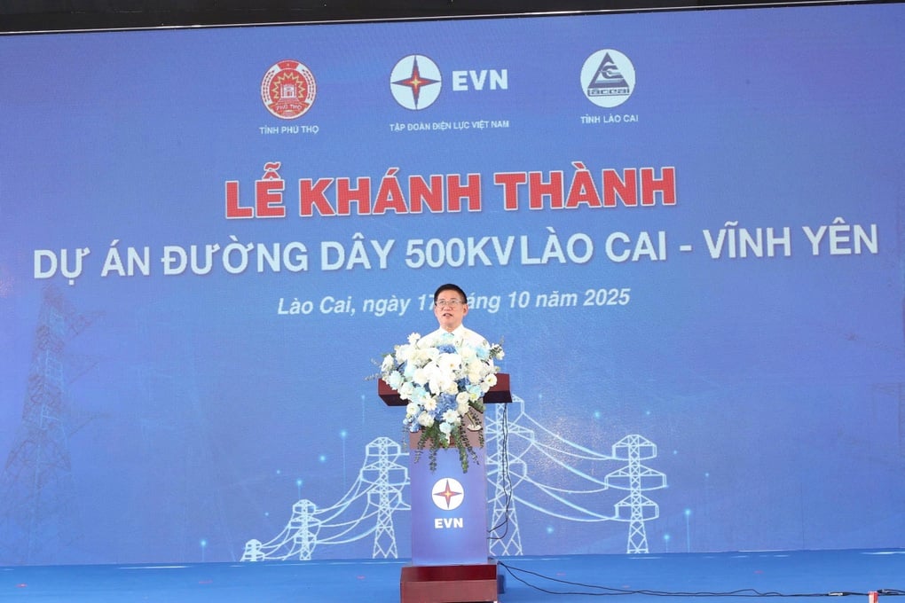 Phó Thủ tướng: Dự án 500kV Lào Cai - Vĩnh Yên lập kỷ lục thi công - 1