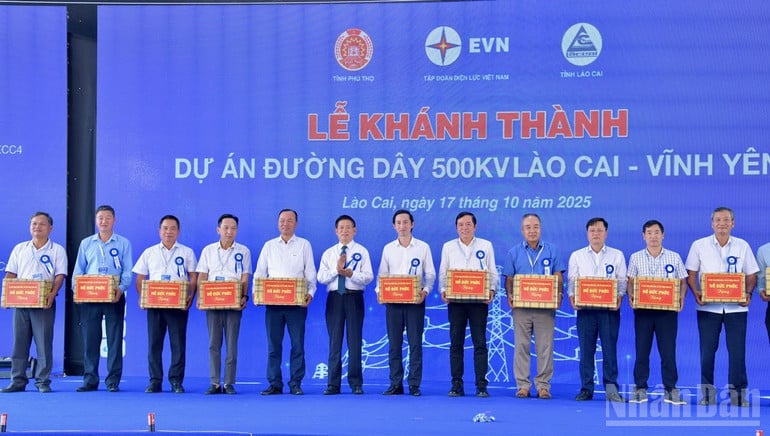 ndo_br_anh-2.jpg