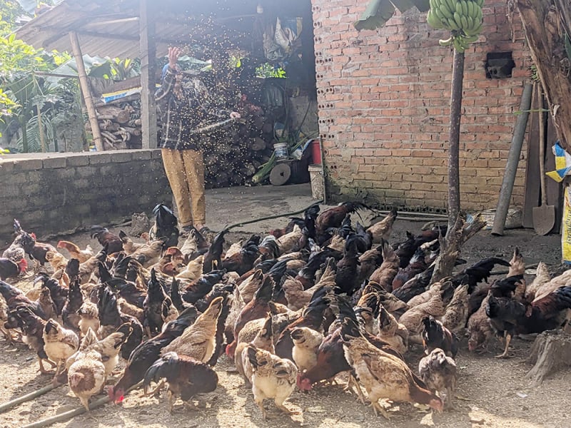 Prosjekt 1719 endrer de etniske minoritetsfjellområdene i Thanh Hoa -0