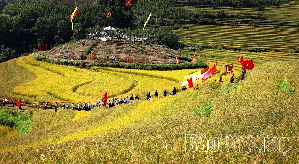 Das Terraced Field Festival 2025 wird viele besondere Aktivitäten bieten.
