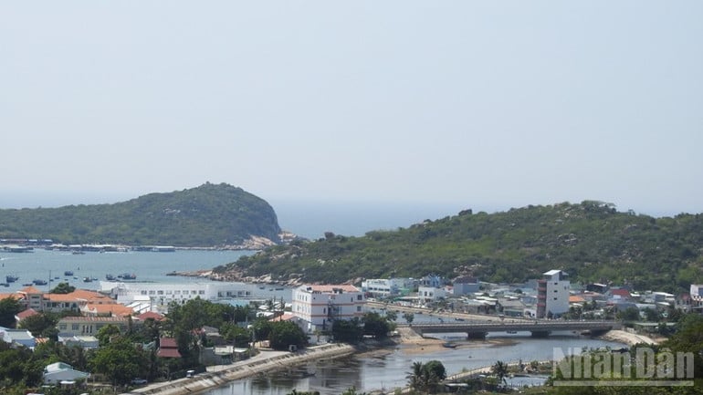 ndo_br_dscn7388-4337.jpg