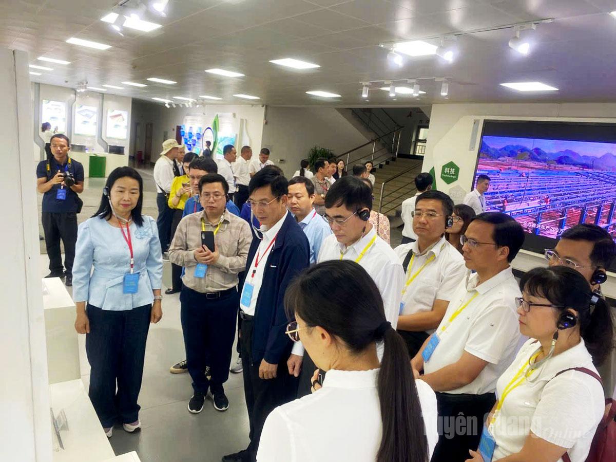 Die Delegation besuchte den Yunnan Green Aluminum Industrial Park.
