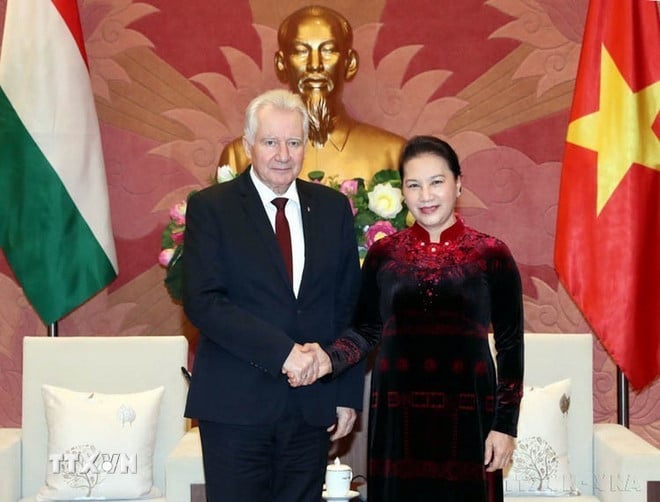 ttxvn-2705-viet-nam-hungary-18.jpg