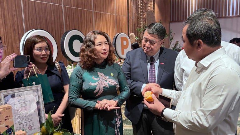 ocop1.jpg