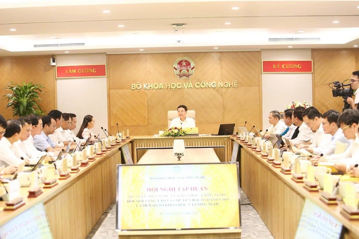 Giám đốc Sở KH&CN là kiến trúc sư trưởng của hệ sinh thái KHCN, ĐMST, CĐS địa phương - Ảnh 3.