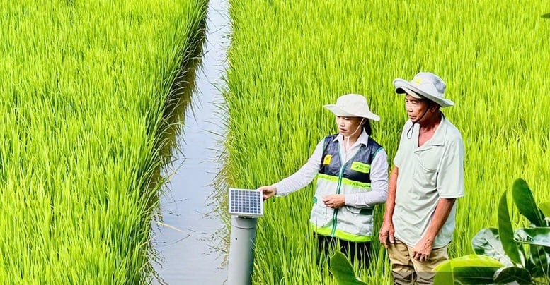Standardisierung des landwirtschaftlichen Beratungssystems nach einem rationalisierten, vernetzten und einheitlichen Modell – Foto 1. Chuẩn hóa hệ thống khuyến nông theo mô hình tinh gọn, liên thông, thống nhất- Ảnh 1.