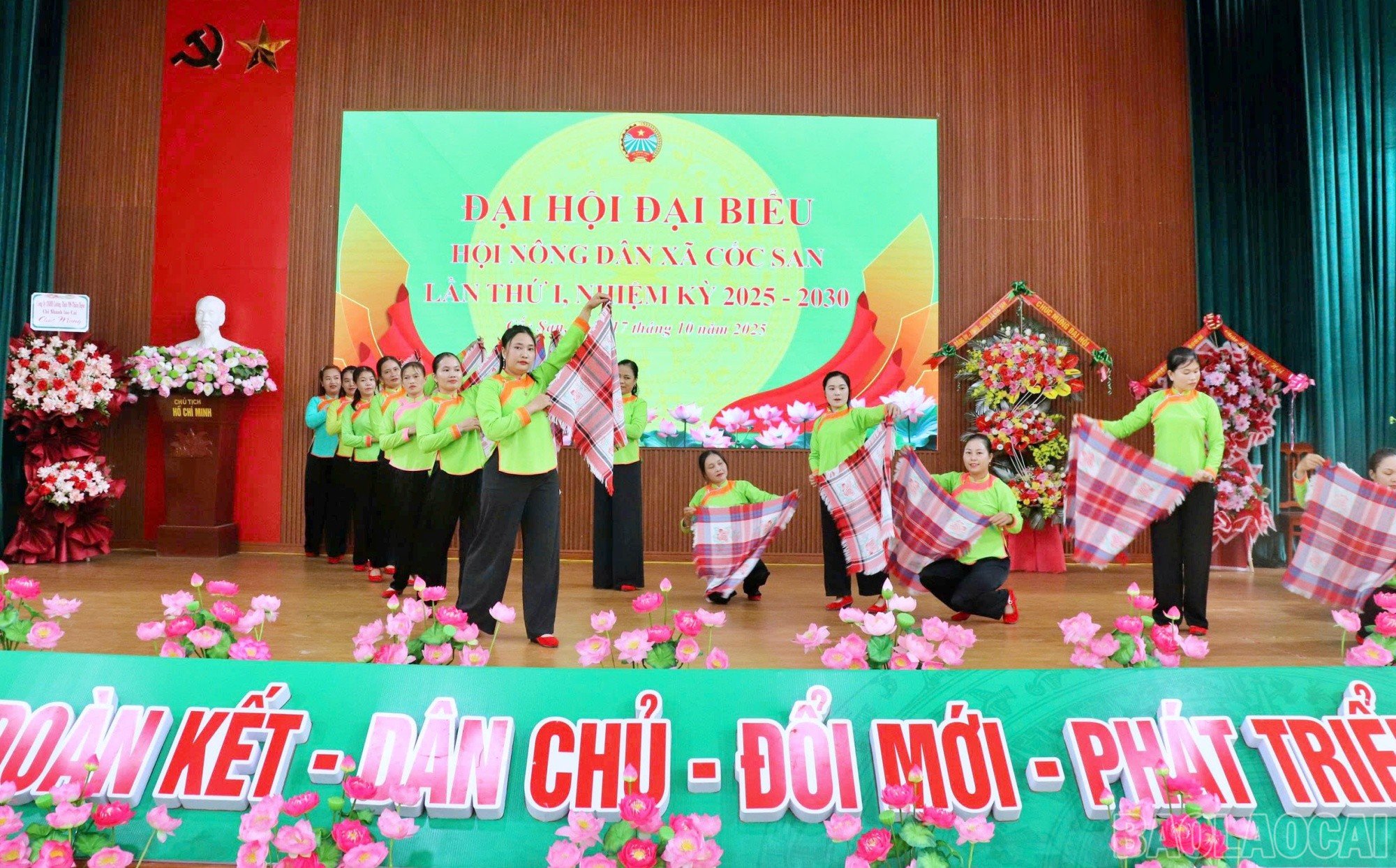 baolaocai-br_cs9.jpg