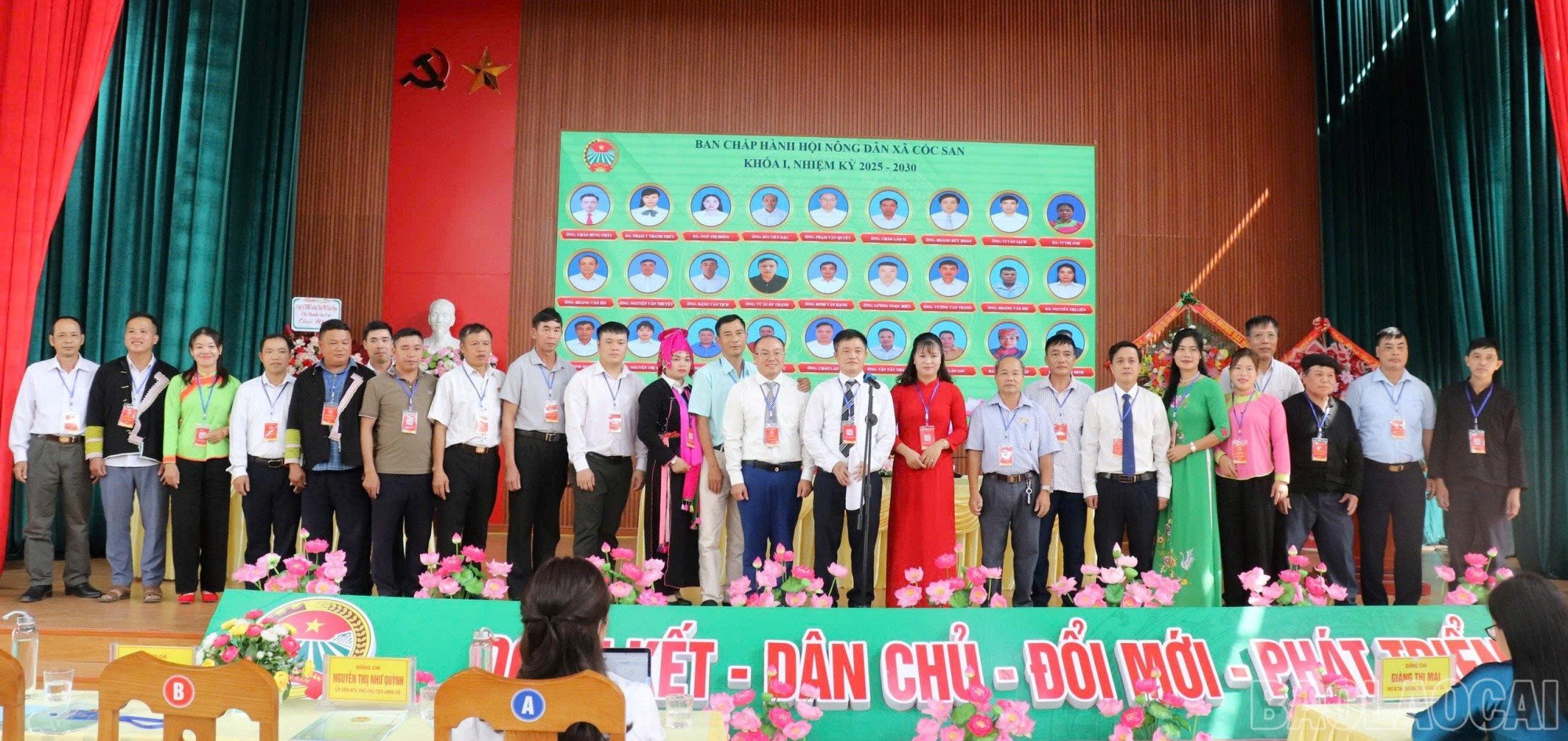 baolaocai-br_cs8.jpg