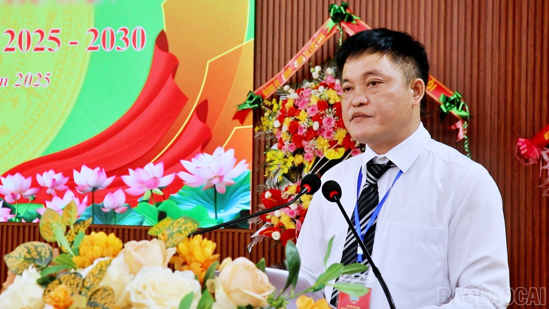 baolaocai-br_cs6.jpg