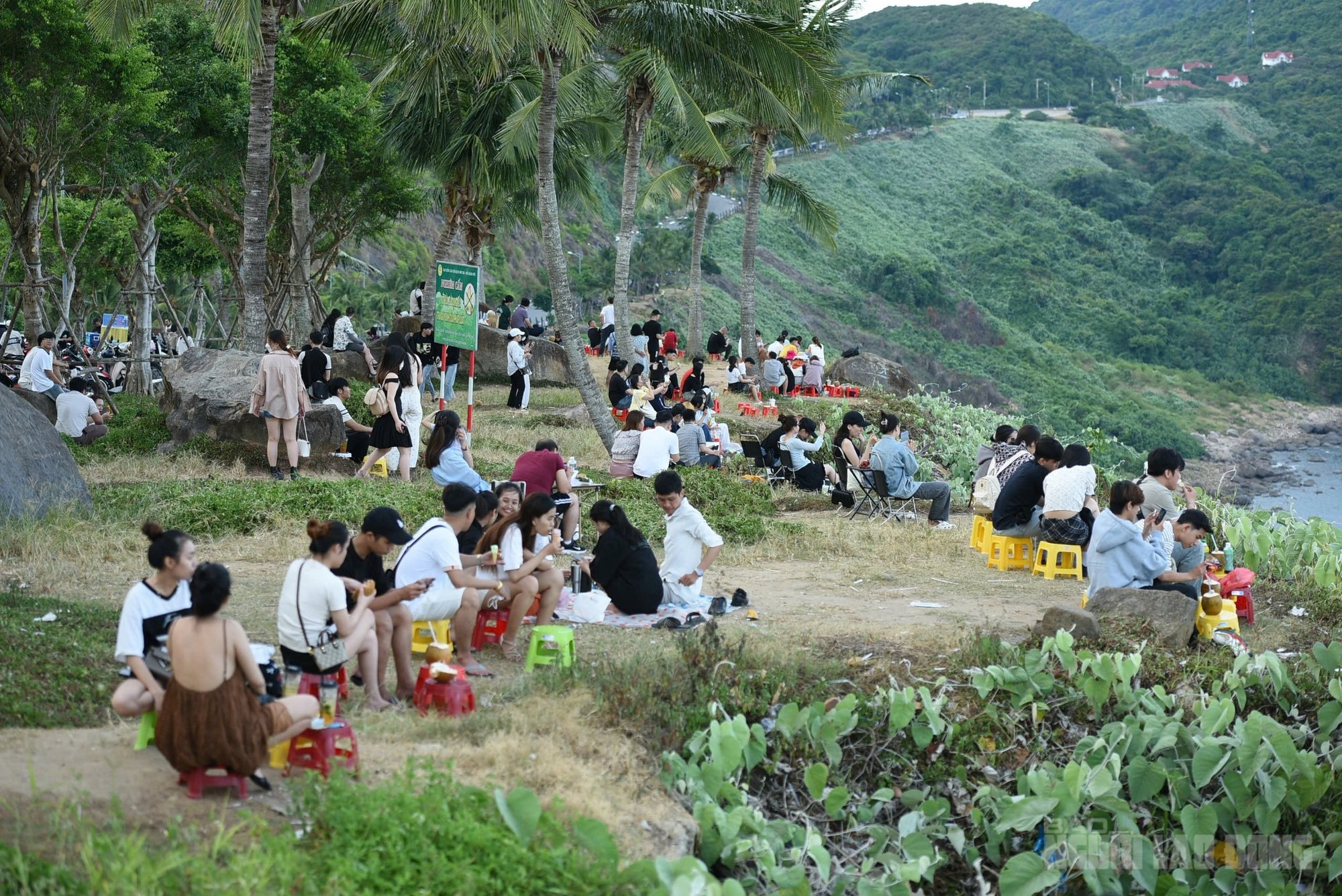 Phát triển bán đảo Sơn Trà thành biểu tượng du lịch sinh thái xanh tại Đà Nẵng - Ảnh 3.