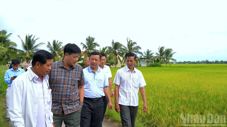 anh-1-2009-7568.jpg