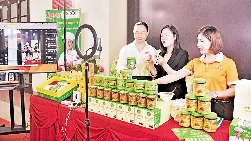 Factores clave para el desarrollo agrícola sostenible – Vietnam.vn