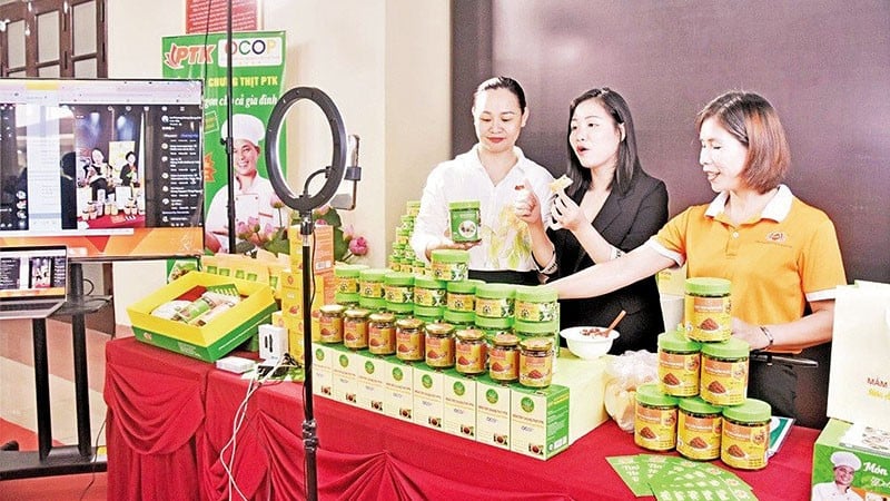 ບໍລິສັດຫຸ້ນສ່ວນ PKT ຫວຽດນາມ (ຕາແສງ Tien Du) ນຳໃຊ້ເຕັກໂນໂລຊີດີຈີຕອນເຂົ້າໃນການຜະລິດ ແລະ ດຳເນີນທຸລະກິດ.