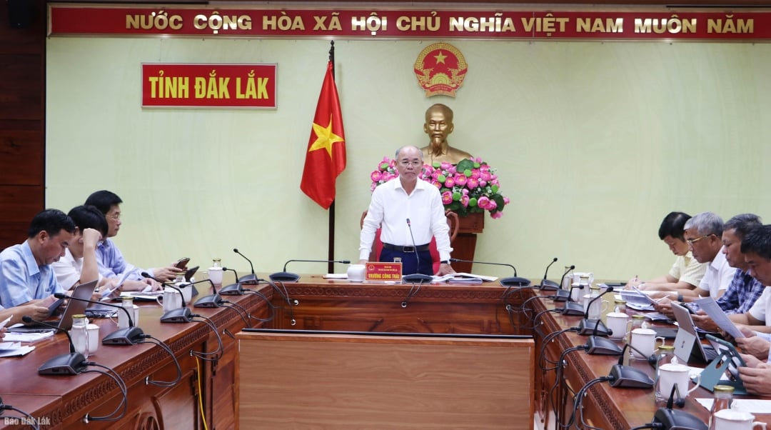 Truong Cong Thai, membre du Comité provincial du Parti et vice-président du Comité populaire provincial, a présidé la réunion.