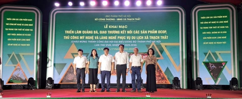 122408dedceb51b508fa.jpg