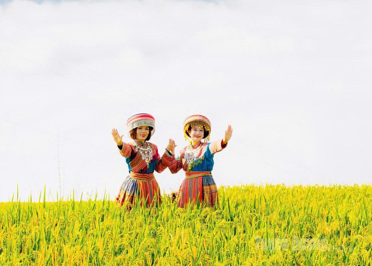 ក្មេងស្រីភ្នំ Tuyen Quang មានរស្មីជាមួយនឹងរដូវមាសរបស់ហុងថៃ។