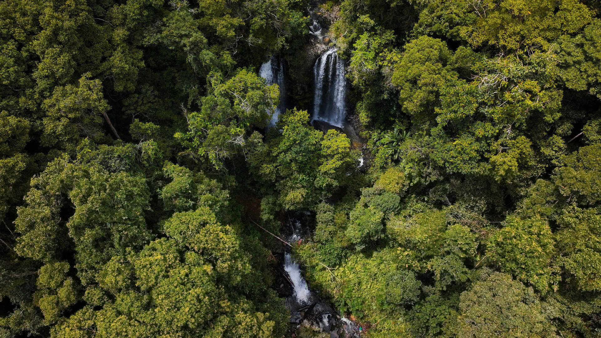 Monkey Falls.jpg