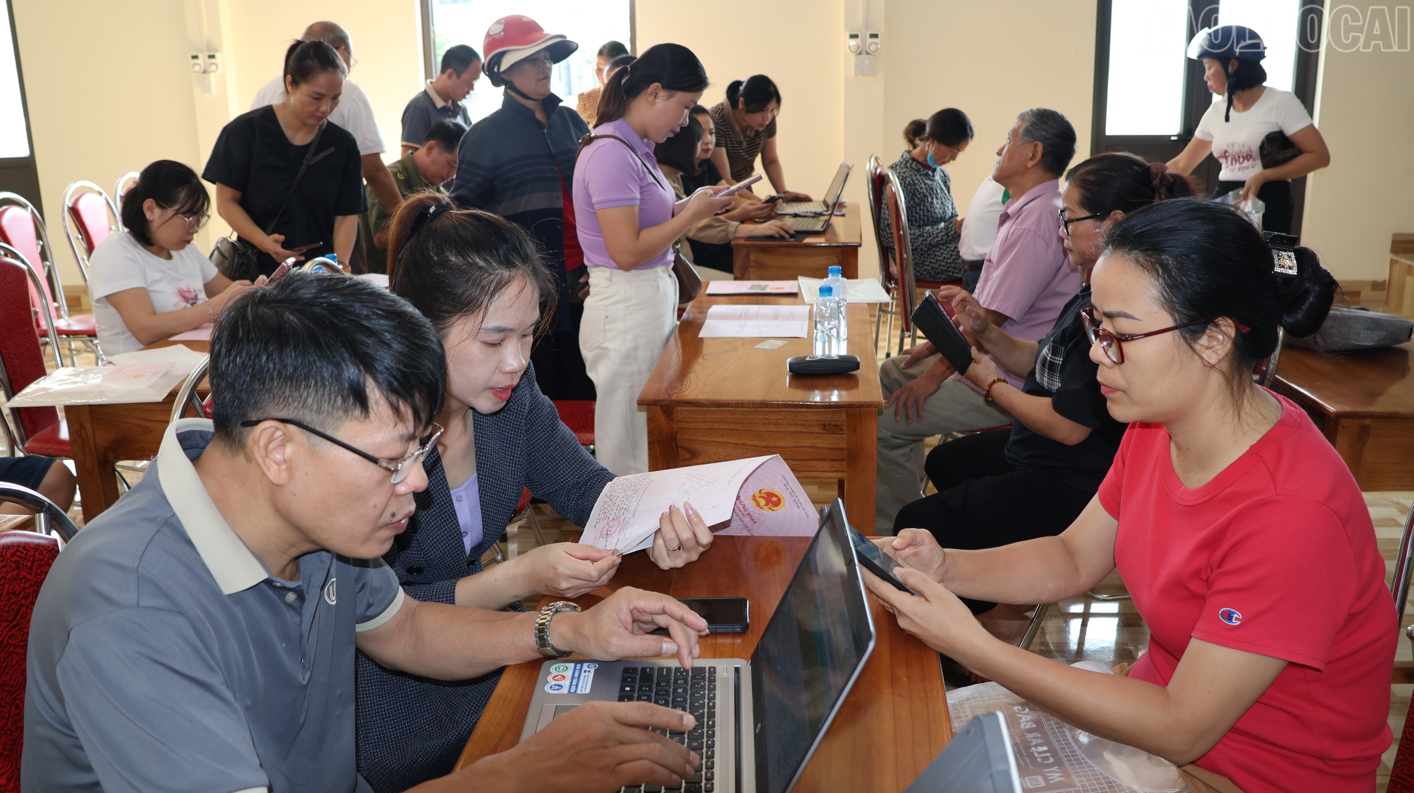 baolaocai-tr_img-6363.jpg