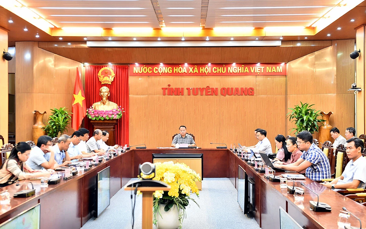 Các đại biểu dự hội nghị tại điểm cầu Tuyên Quang.
