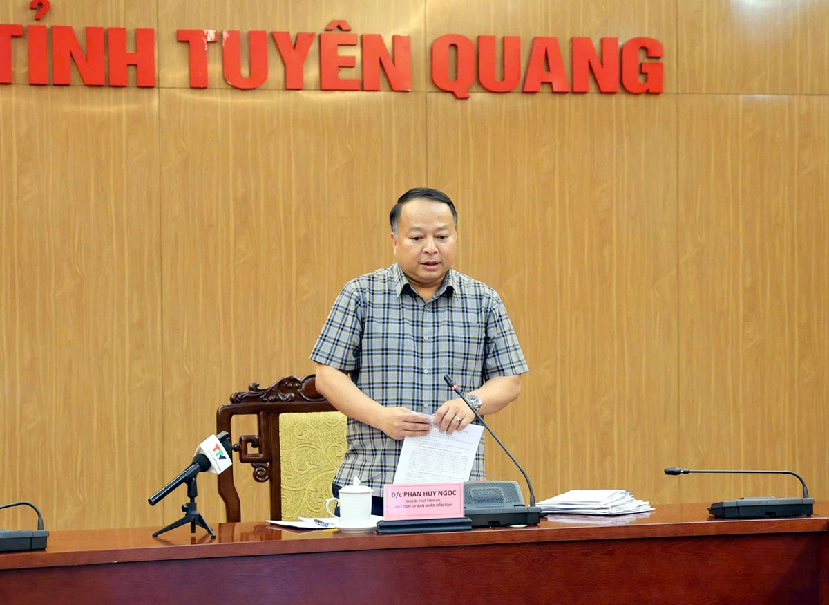 Đồng chí Phan Huy Ngọc, Phó Bí thư Tỉnh uỷ, Chủ tịch UBND tỉnh phát biểu tại hội nghị.
