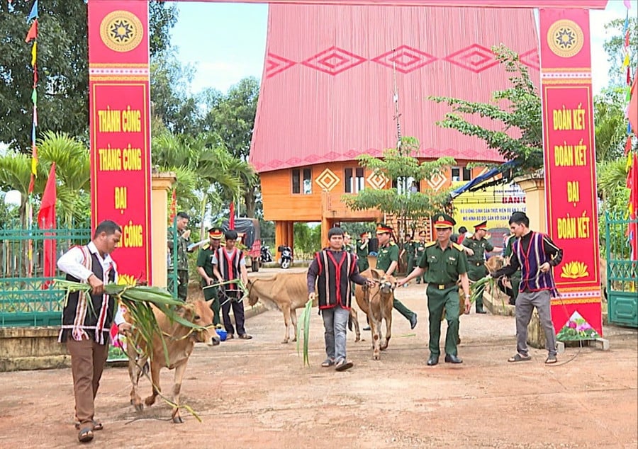 People-of-2-xa-chia-va-ia-dok-phan-khoi-nhan-bo-giong-dua-ve-home.jpg