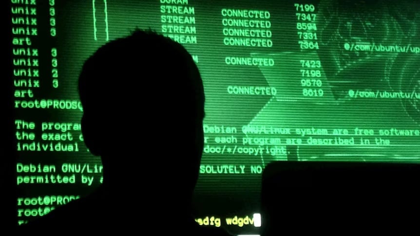 Hacker lieu linh anh 3