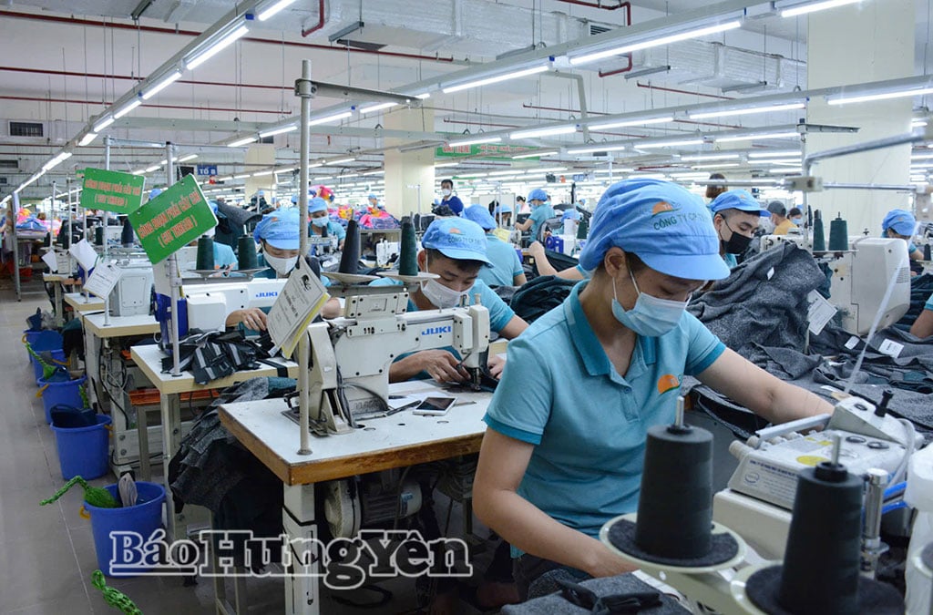 Tien Hung Joint Stock Company، Hoang Hoa Tham کمیون کمیون کے اندر اور باہر بہت سے کارکنوں کے لیے مستحکم ملازمتیں پیدا کرتا ہے۔