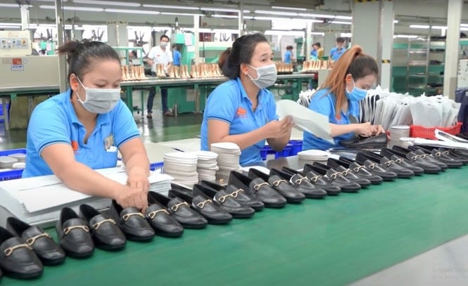 nganh-da-giay-bi-anh-huong-nang-khi-chinh-sach-thue-doi-ung-cua-hoa-ky-chinh-thuc-co-hieu-luc-thu-thang-7-2025.-trong-anh-san-xuat-giay-xuat-khau-tai-cong-ty-tnhh-giay-vien-thinh-tinh-tay-ninh-..jpg