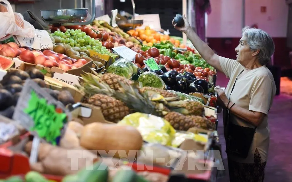 Người dân mua sắm tại một chợ ở Madrid, Tây Ban Nha. Ảnh: THX/TTXVN
Người dân mua sắm tại một chợ ở Madrid, Tây Ban Nha. Ảnh: THX/TTXVN