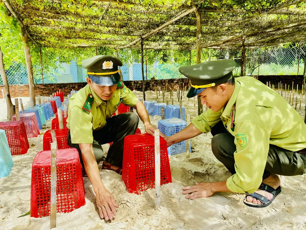 PSA Anh6- kiem lam 3.jpg