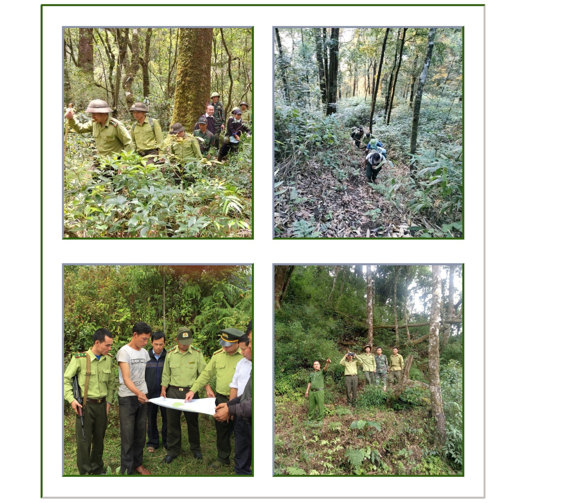 luc-luong-kiem-lam-khu-vuc-mu-cang-chai-tang-cuong-tuan-tra-rung-1.png
