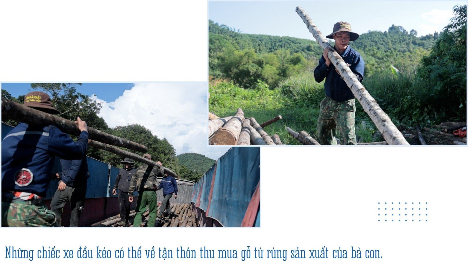 ៦.jpg