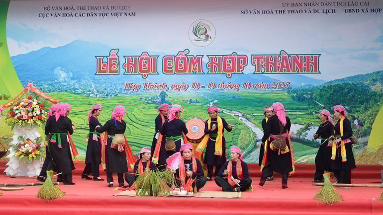 hai-7644-copy.jpg