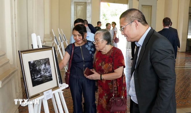 ttxvn-chu-tich-quoc-hoi-hungary-du-khai-mac-trien-lam-anh-ve-thanh-pho-ho-chi-minh-6.jpg