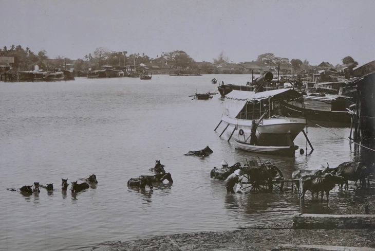 មើលរូបថតនៃរោងមហោស្រព គណៈកម្មាធិការប្រជាជនទីក្រុងហូជីមិញ និងទន្លេ Saigon ថតដោយវេជ្ជបណ្ឌិតជនជាតិហុងគ្រីកាលពីជាង 100 ឆ្នាំមុន - រូបថតទី 4 ។ Hungary - Ảnh 7.