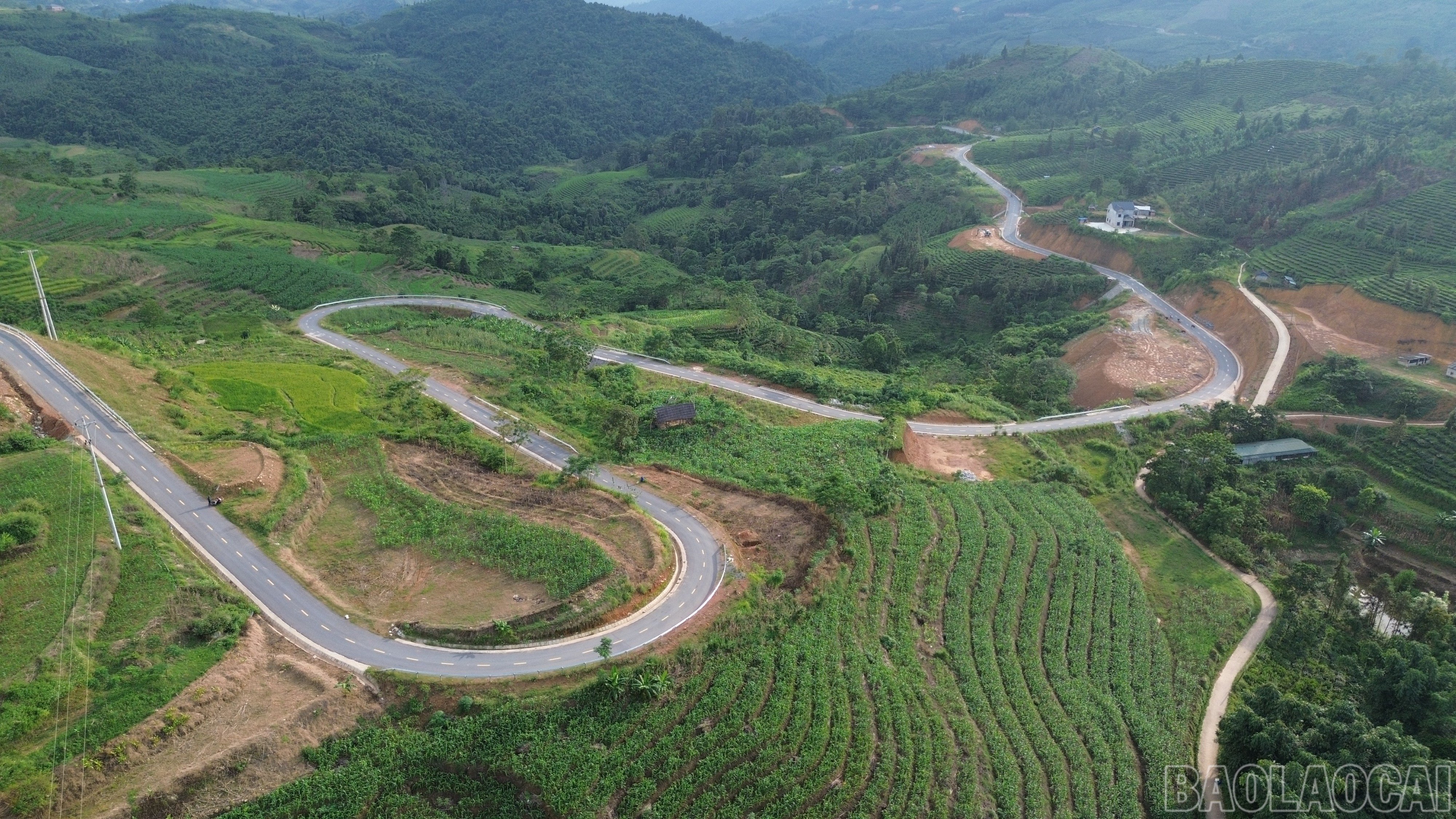 baolaocai-br_dji-0373.jpg
