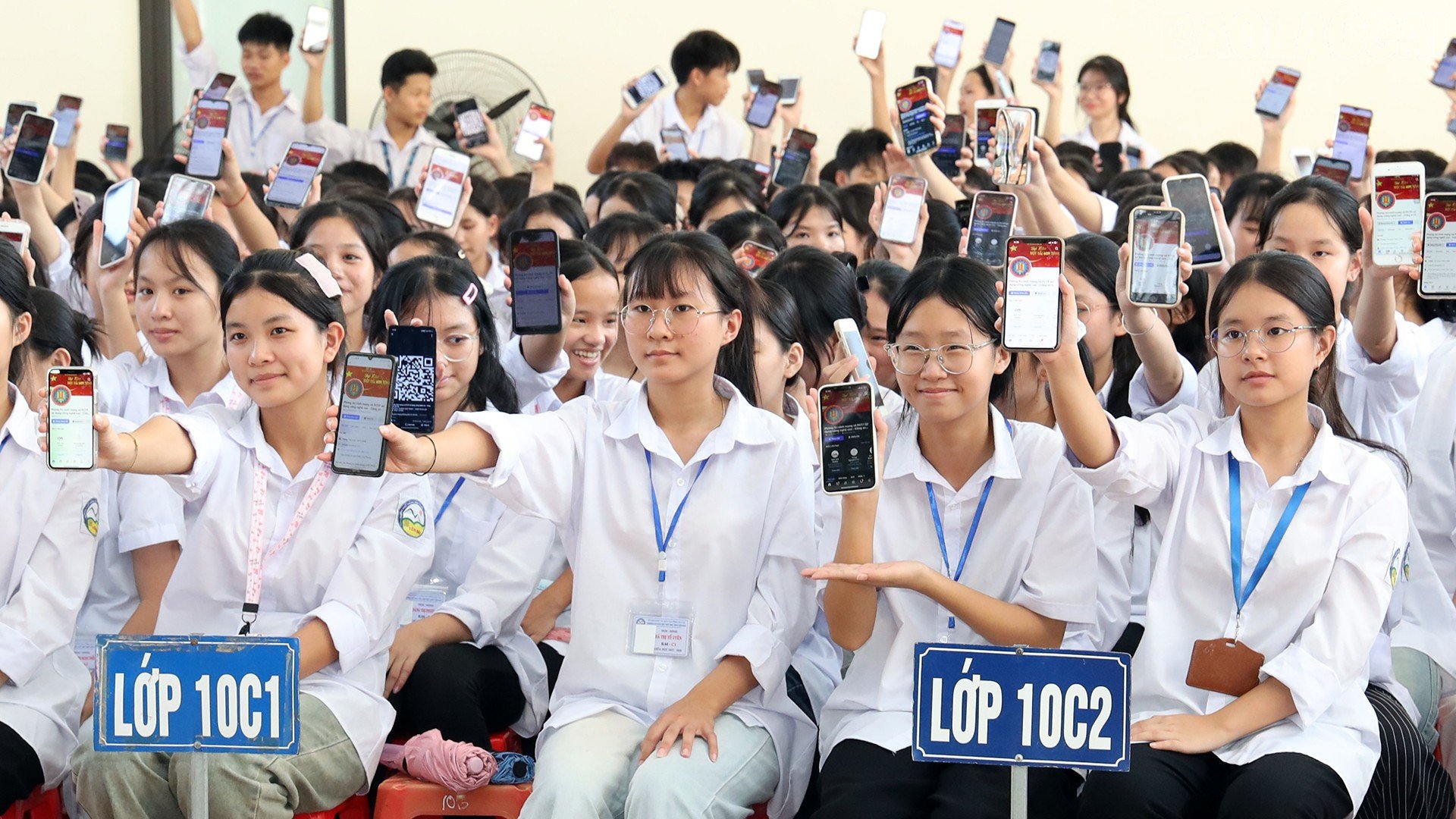 baolaocai-tr_imgl9383-copy.jpg