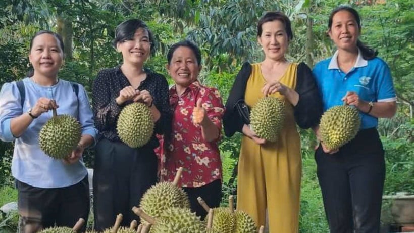 សហករណ៍កសិកម្ម Tan Phu អភិវឌ្ឍផលិតផល OCOP លំដាប់ផ្កាយ 4 ពីទុរេន។ (រូបថត៖ HOANG TRUNG)