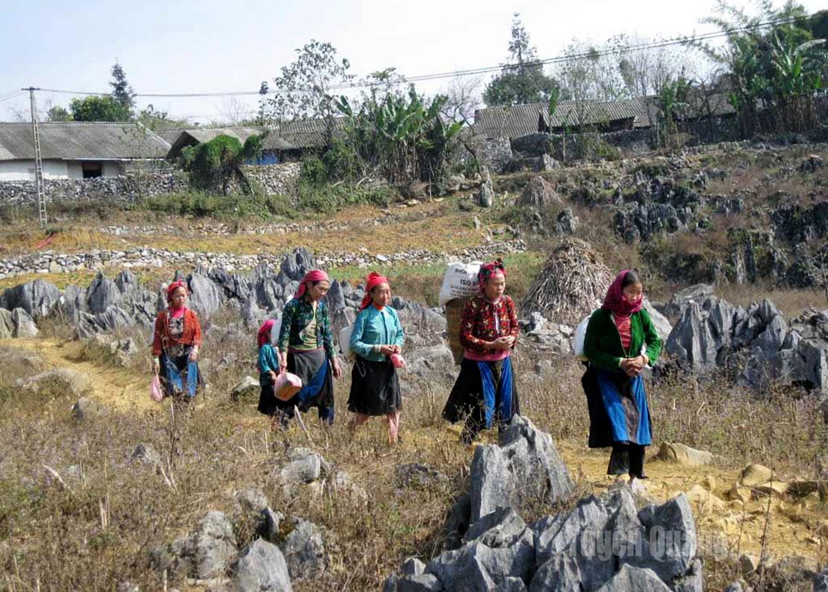 Vùng Cao nguyên đá Đồng Văn có nơi nhiệt độ giảm còn 13-15°C
