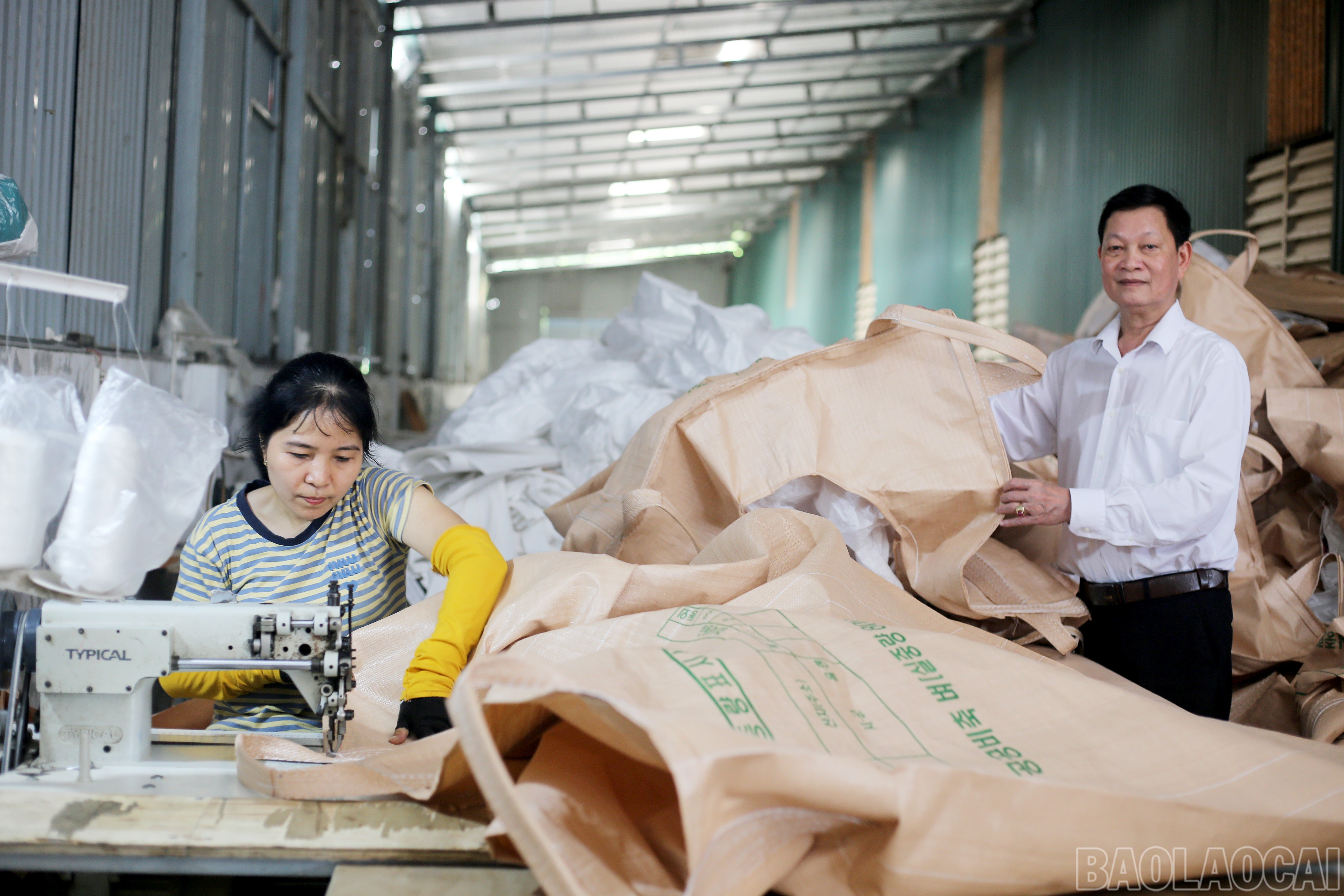baolaocai-br_img-7765.jpg