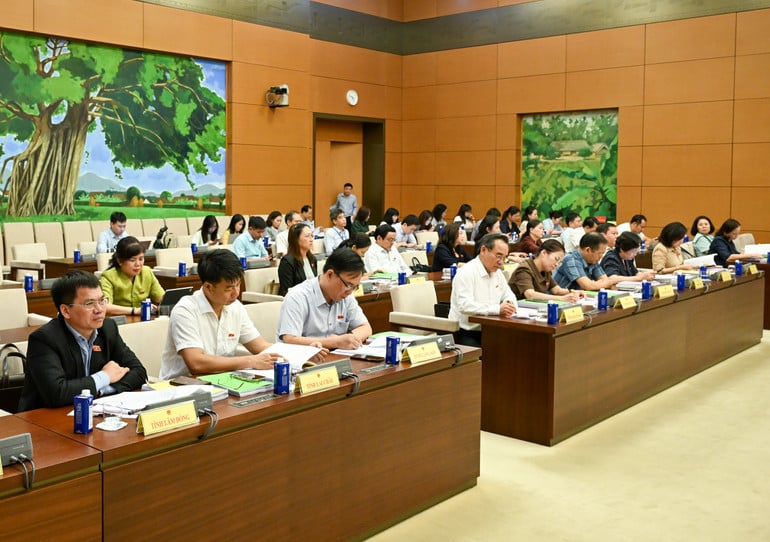 bnd-0977.jpg